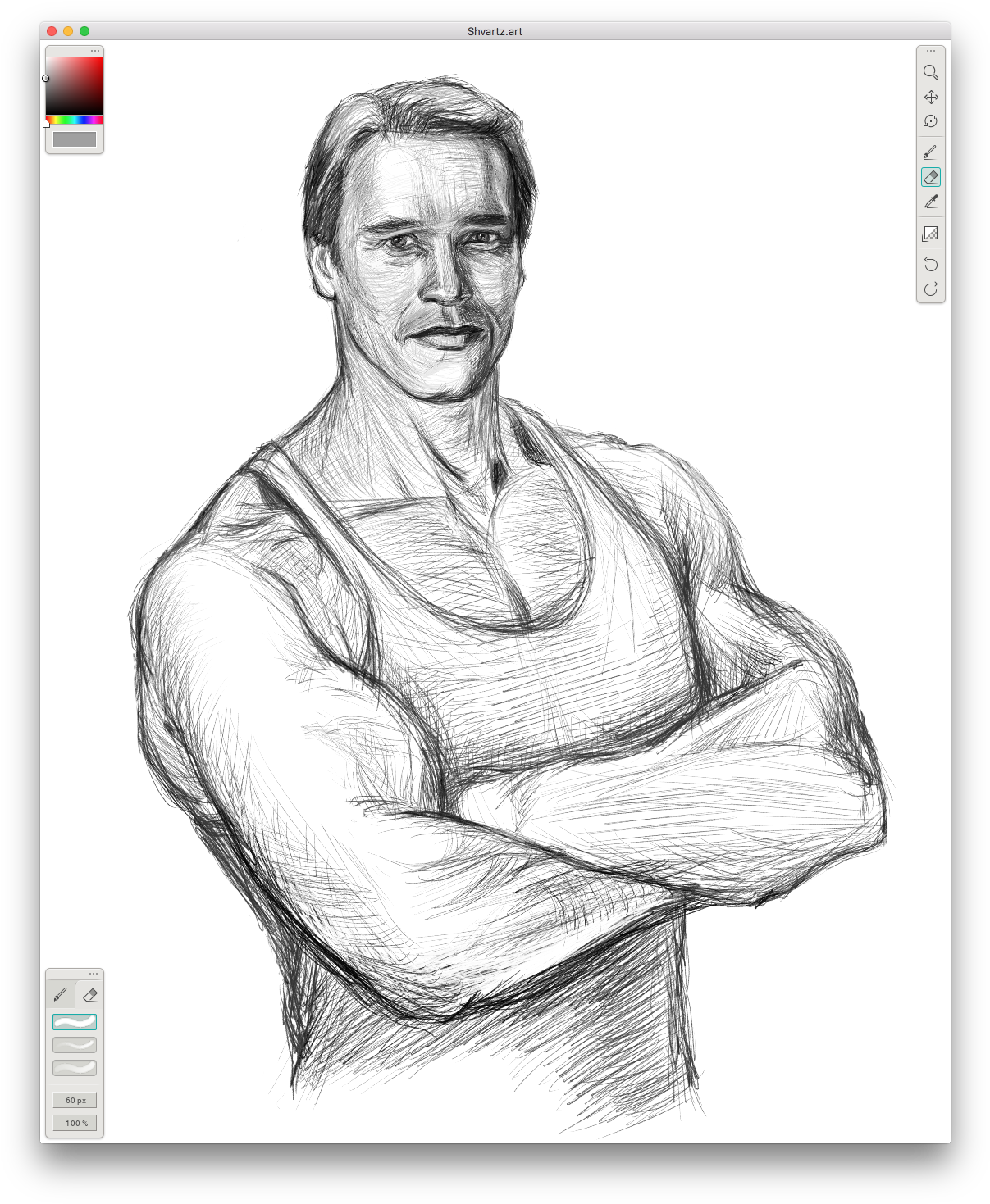 My Portrait Of Arnold Schwarzenegger - Sketch, HD Png Download PNG with transparent background