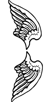 Mysterious Black Butterfly PNG with transparent background