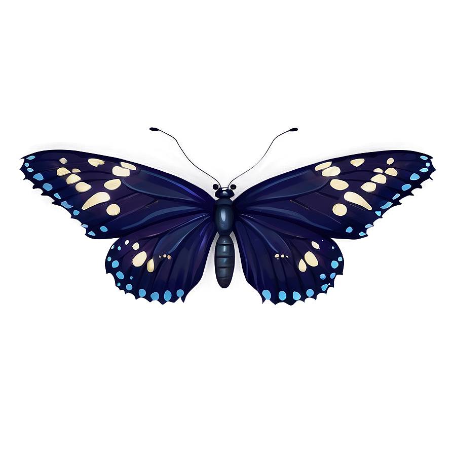 Mysterious Black Butterfly Png 06252024