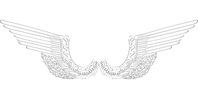 Mysterious Black Butterfly Wings PNG with transparent background