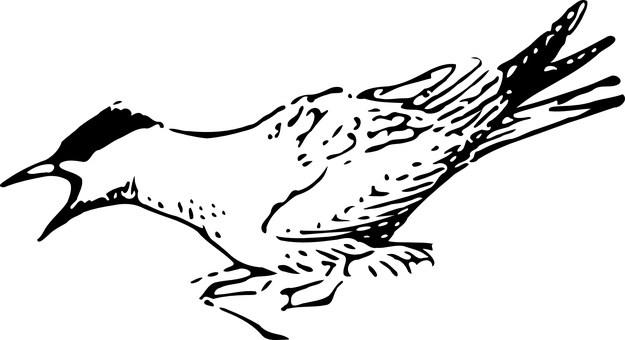 Mysterious Black Image PNG with transparent background