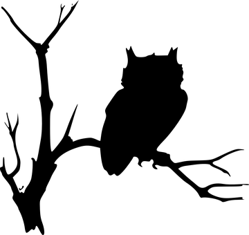 Mysterious Black Owl PNG with transparent background