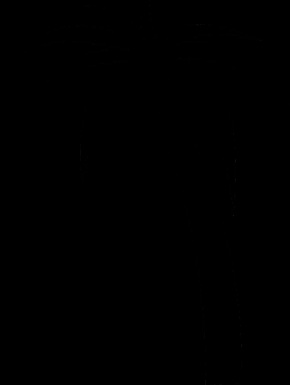 Mysterious_ Tree_ Silhouette_ Night_ Sky PNG image with a transparent background, free high-resolution download