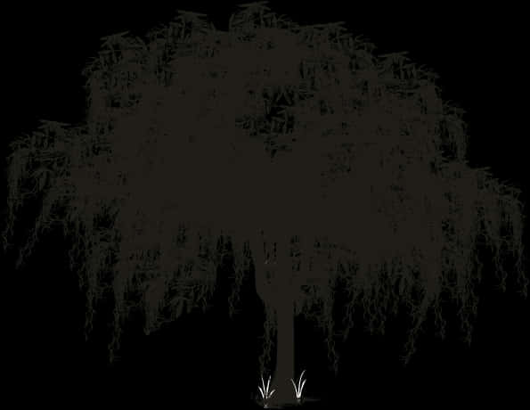Spanish Moss Tree Silhouette PNG with transparent background