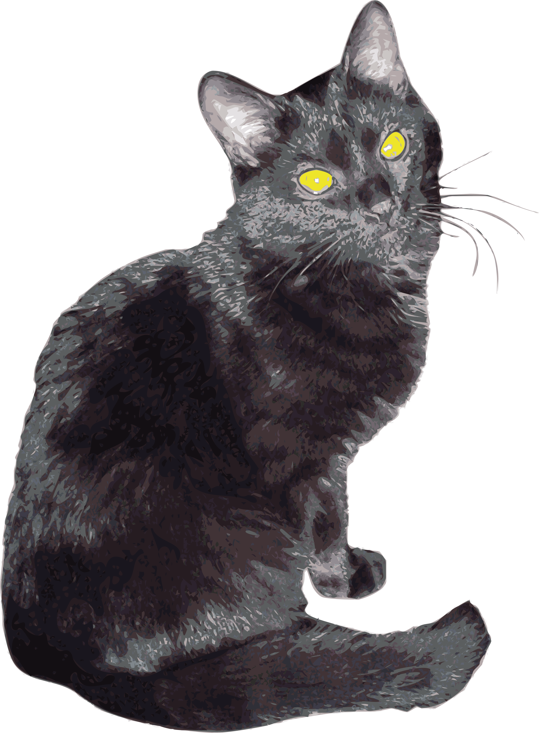 Mystic Black Cat Yellow Eyes