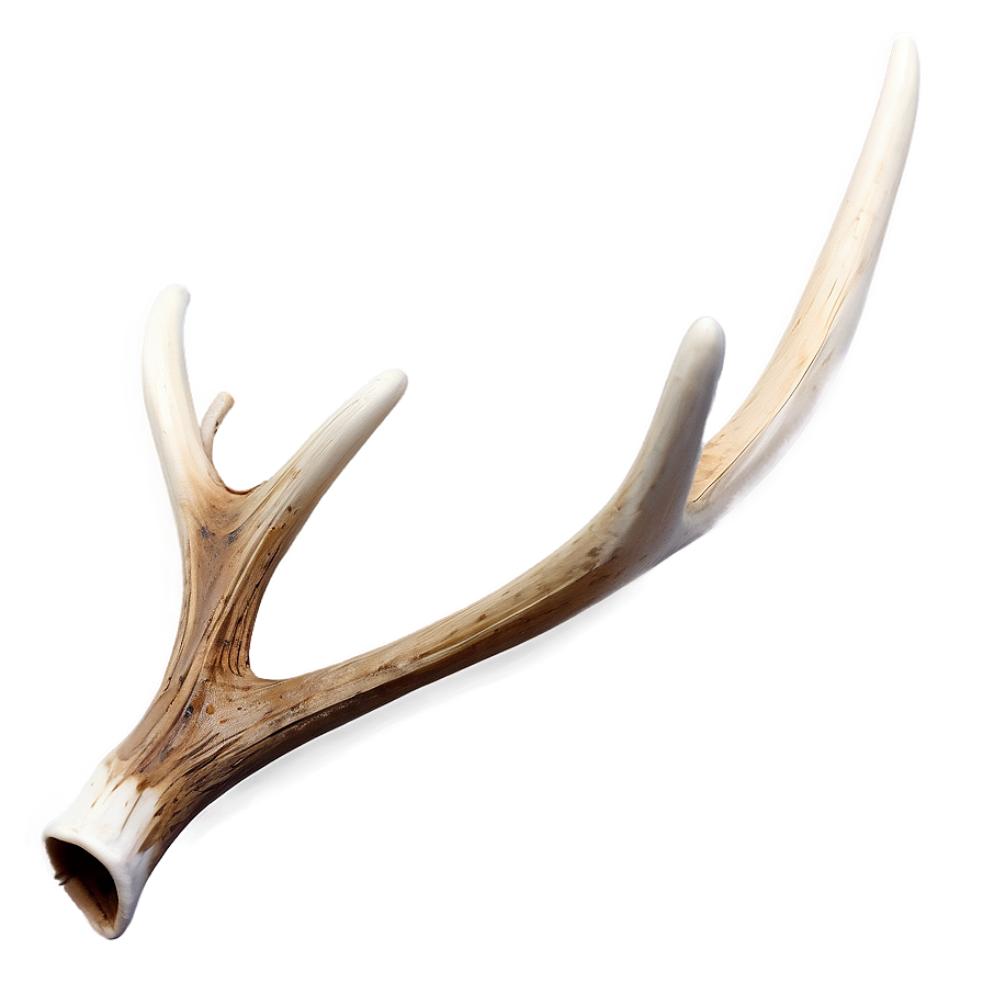 Mystic Deer Antler Png 06122024