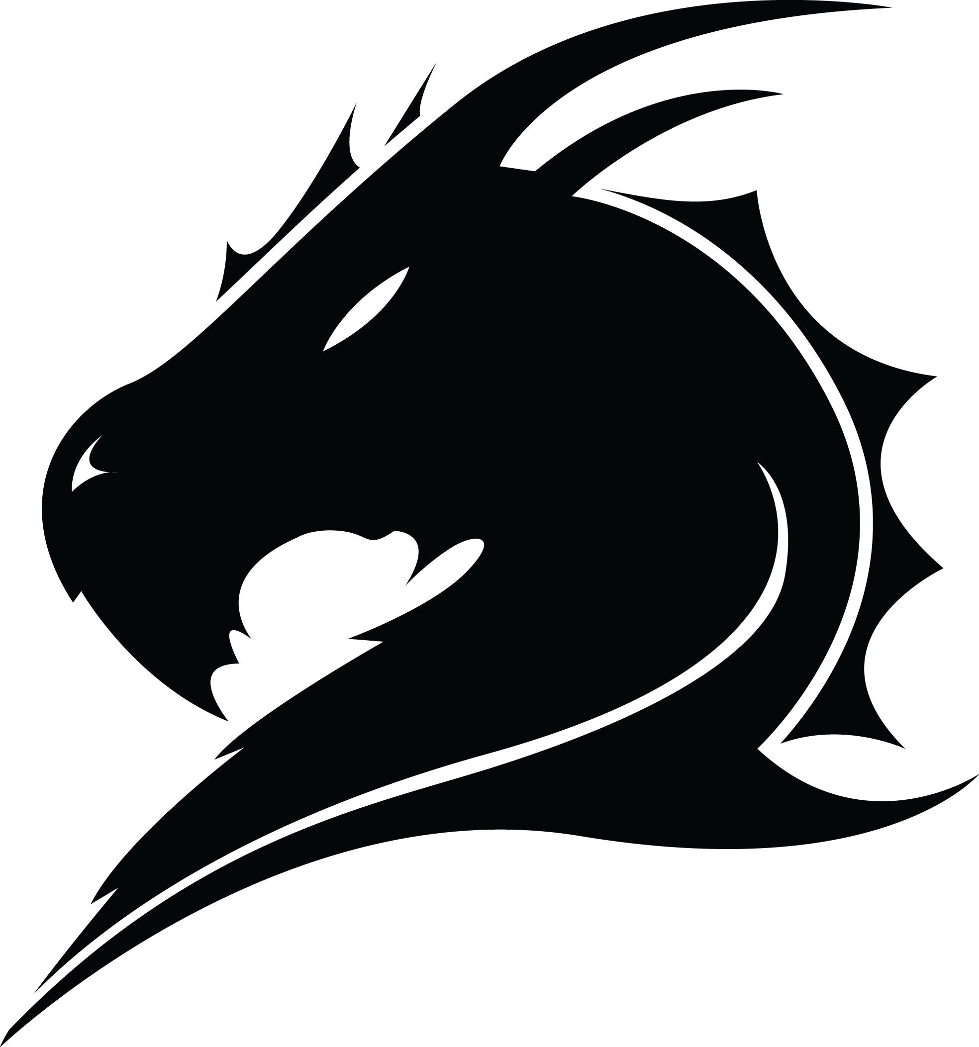 Mystic Dragon Silhouette