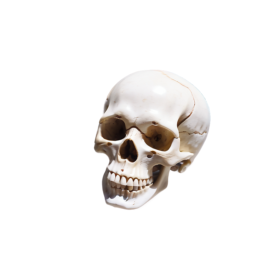 Mystic Spinning Skull Png Uhd17