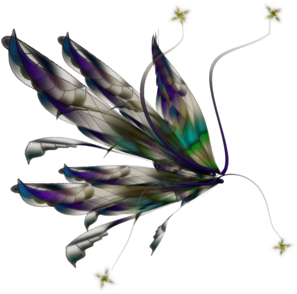 Mystical_ Fairy_ Wings_ Illustration.png