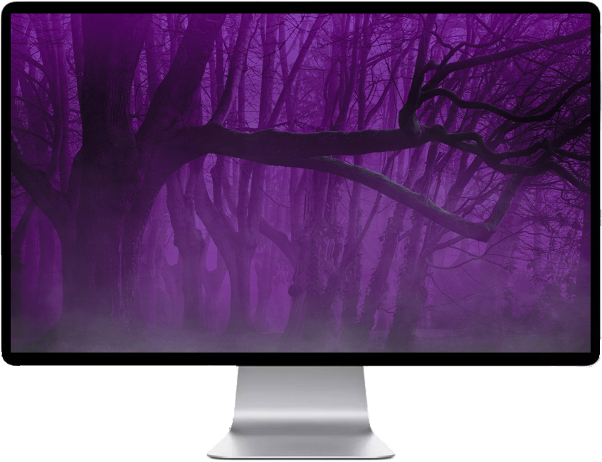 Mystical_ Purple_ Forest