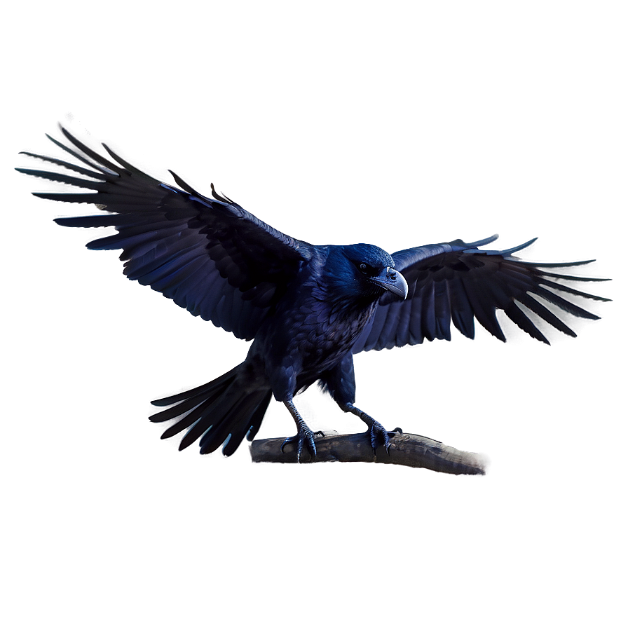 Mystical Raven PNG 05062024 PNG with transparent background