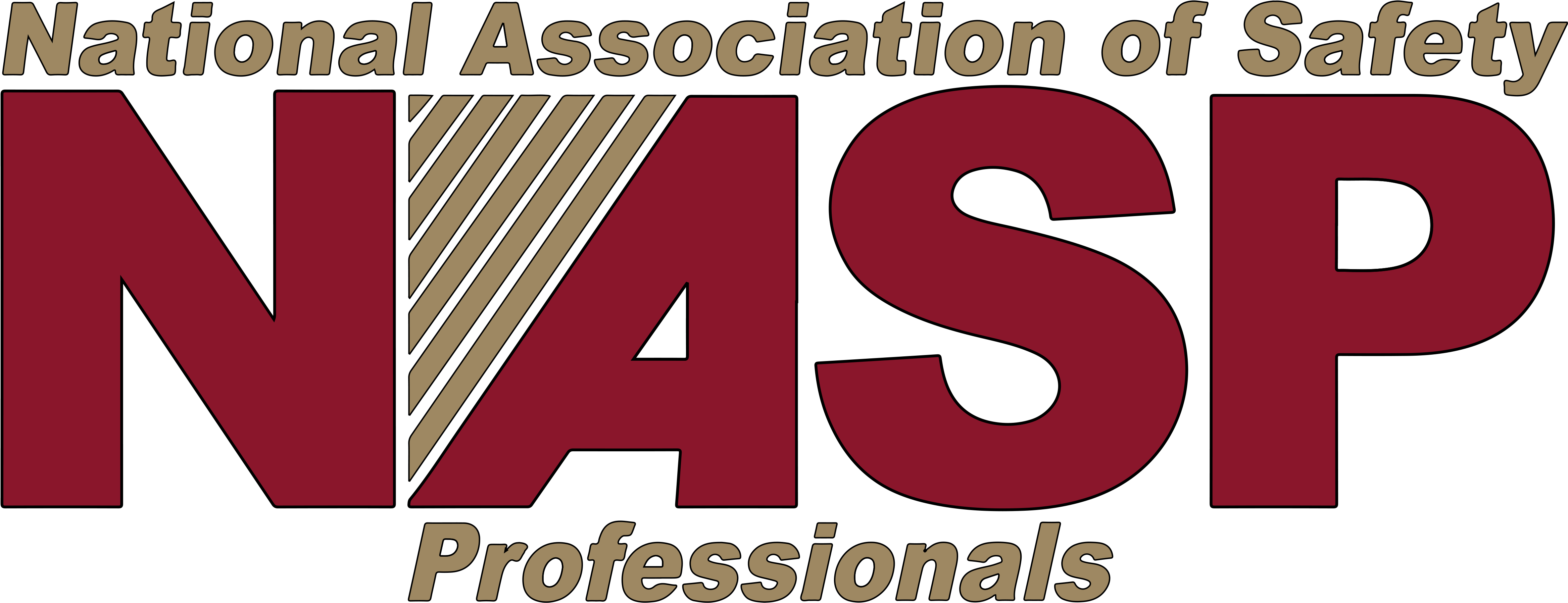 National Association Of Safety Professionals, HD Png Download PNG with transparent background