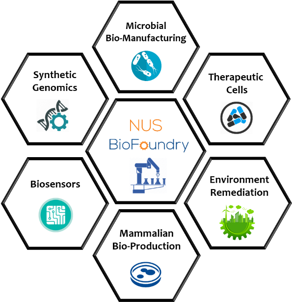 N U S_ Bio Foundry_ Research_ Areas