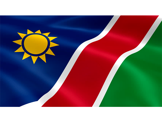 Namibian Flag Waving