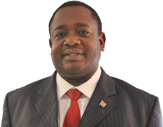 Namibian Official Portrait