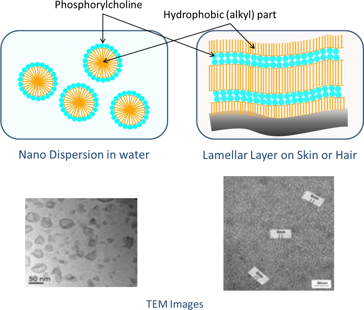 Nanoparticle Dispersionand Lamellar Structure Explanation PNG with transparent background