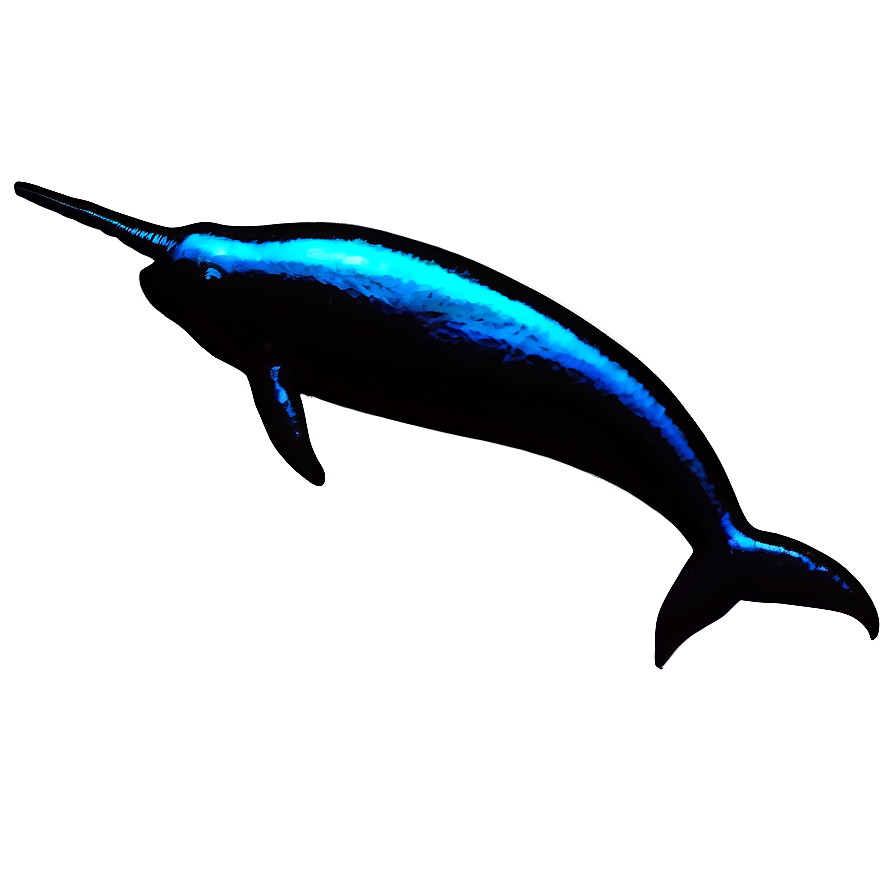 Narwhal Silhouette PNG xbs81 PNG with transparent background