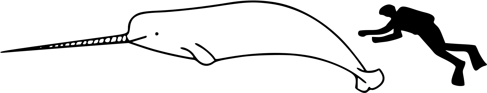 Narwhal Size - Narwhal Size To Human PNG with transparent background