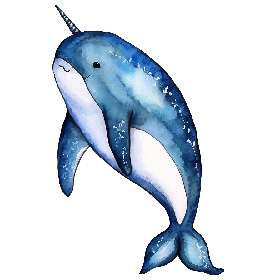 Narwhal Watercolor Painting PNG 55 PNG with transparent background