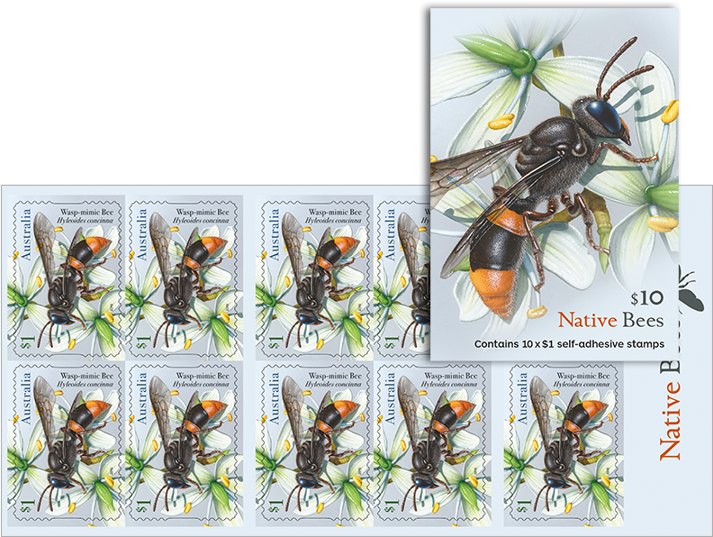 Native Bee Wasp Mimic Stamp Sheet PNG with transparent background