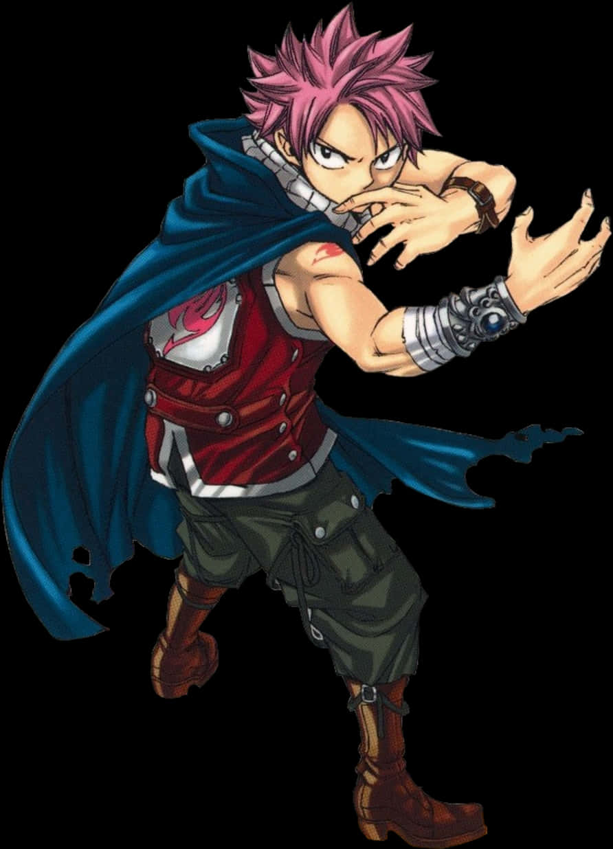 Natsu Dragneel Fairy Tail Anime Character