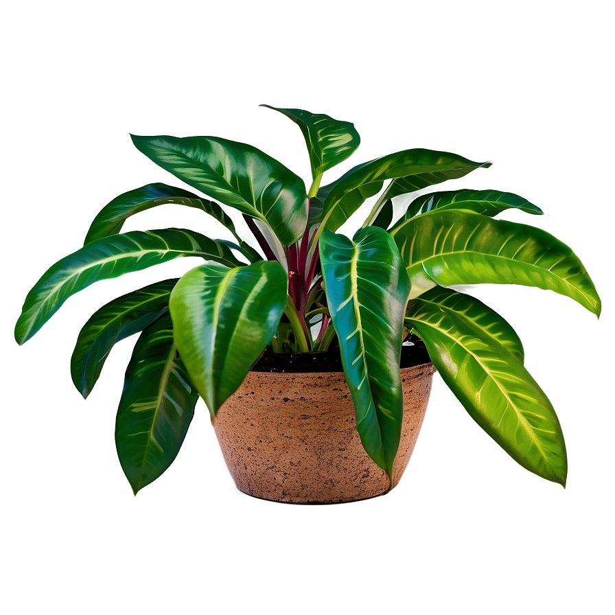 Natural Floor Plant Png 95