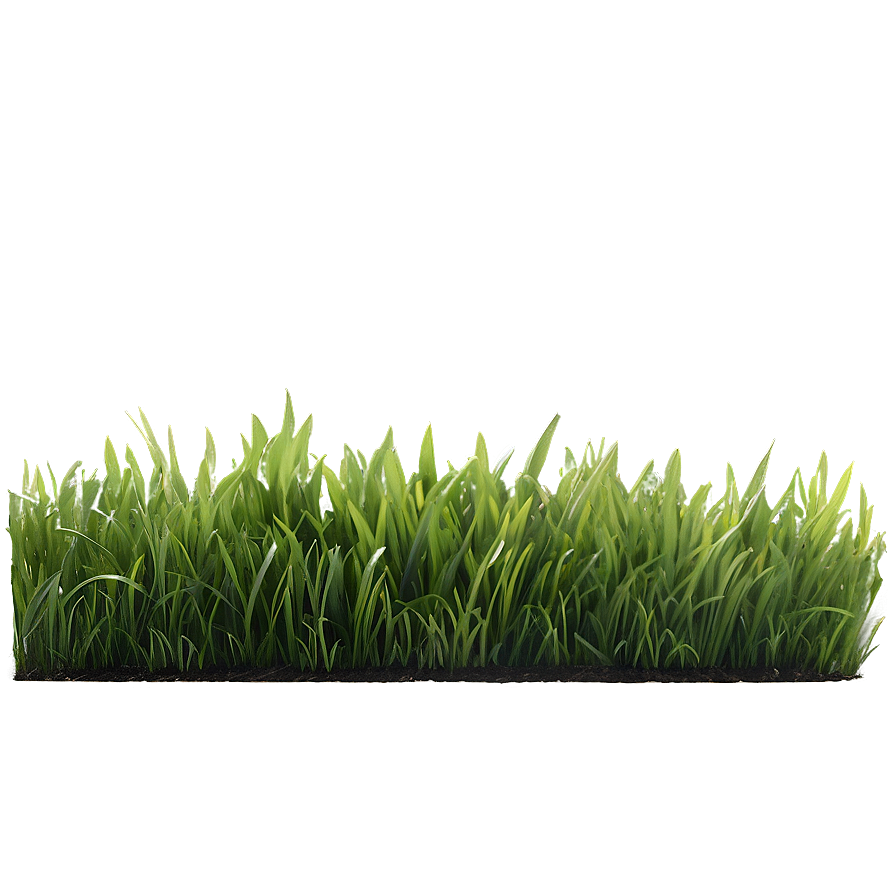 Natural Green Grass Png 2