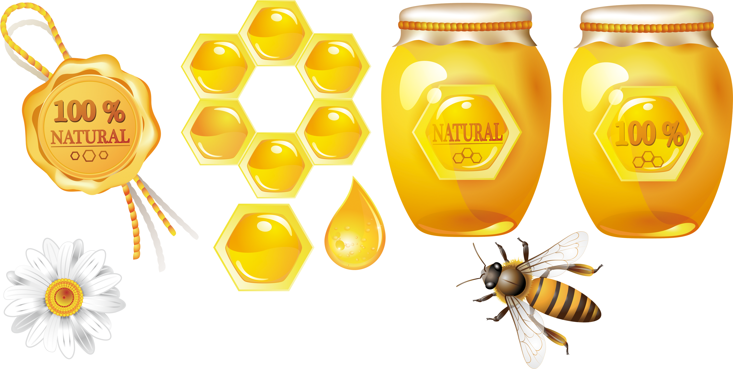 Image Transparent Stock Honey Bee Honeycomb Theme Transprent - Honeycomb, HD Png Download PNG with transparent background