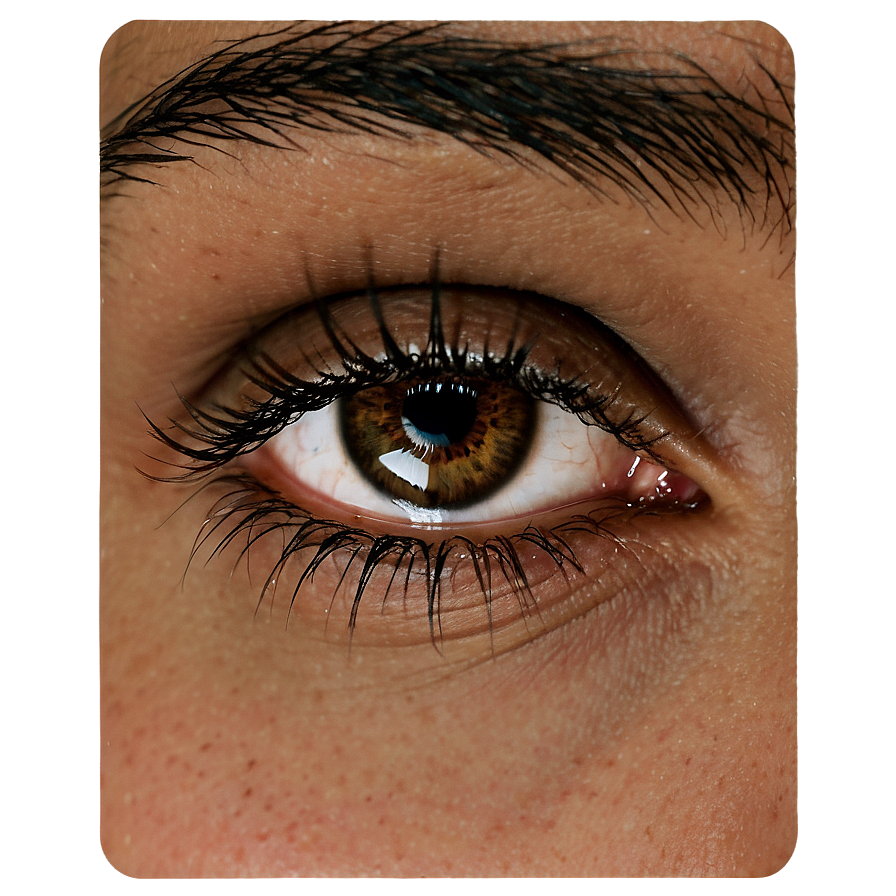 Natural Look Lashes PNG guh PNG with transparent background