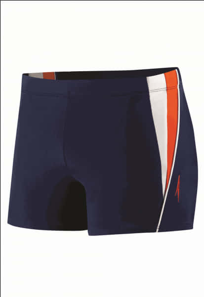 Navy Swim Trunkswith Stripe