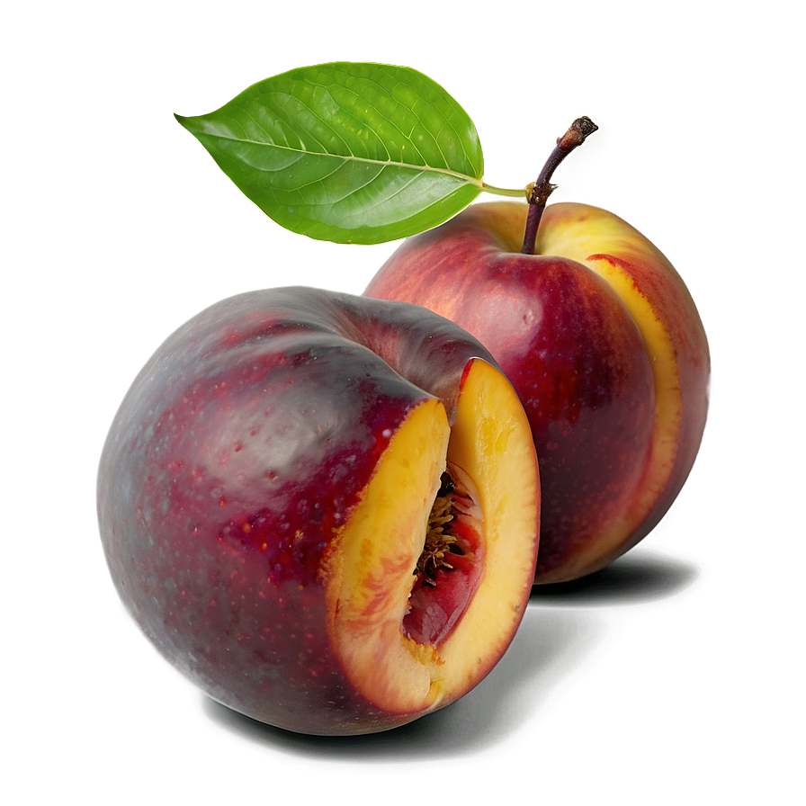 Nectarine In Hand Png 06252024