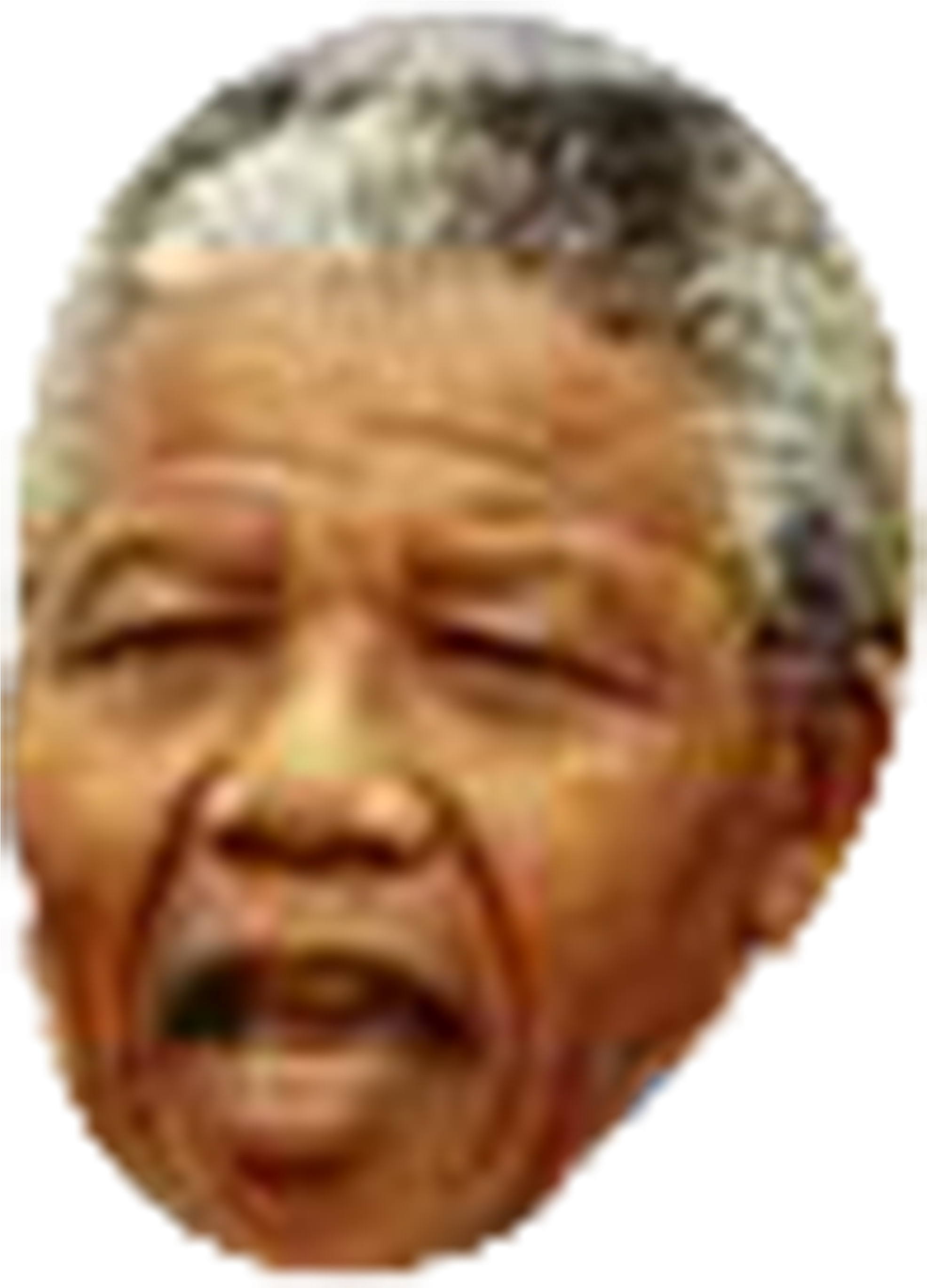 Nelson Mandela Portrait