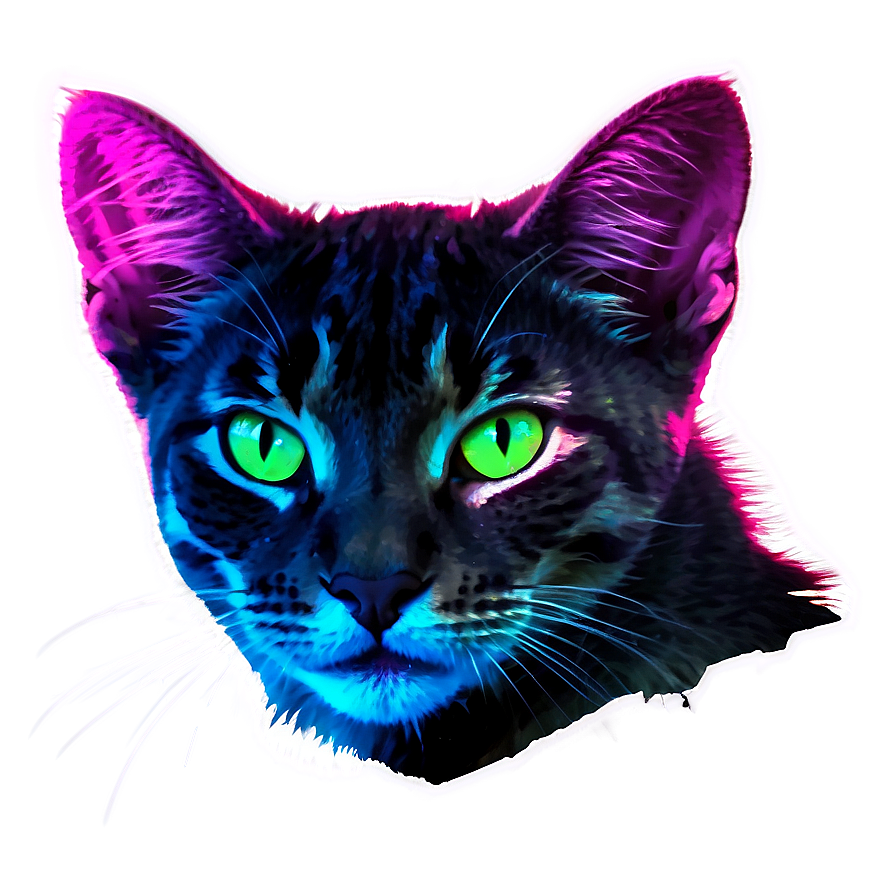 Neon Cat Filter Png Toh