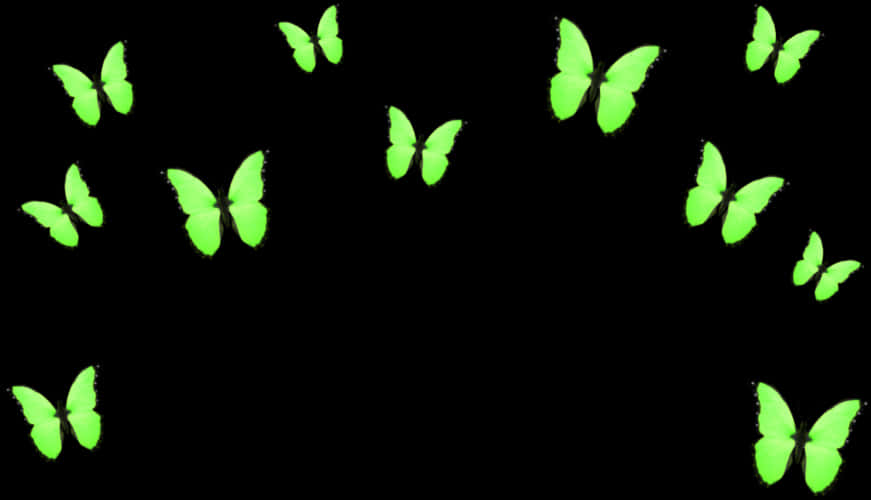 Neon Green Butterflies Black Background