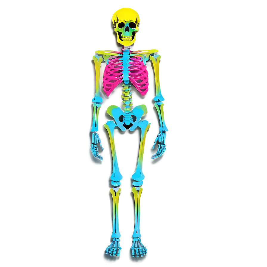 Neon Skeleton Png 11