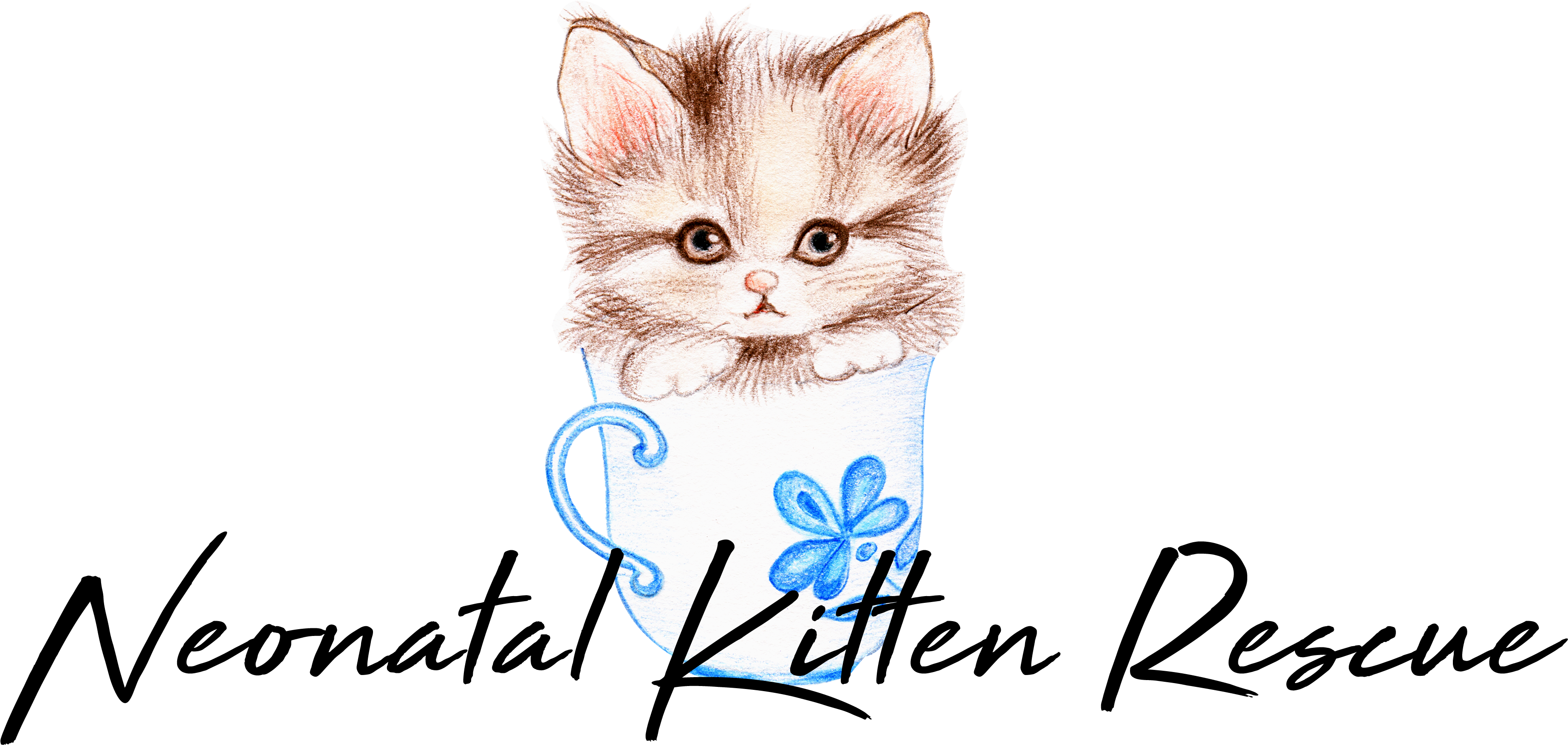 Kitten, HD Png Download PNG with transparent background