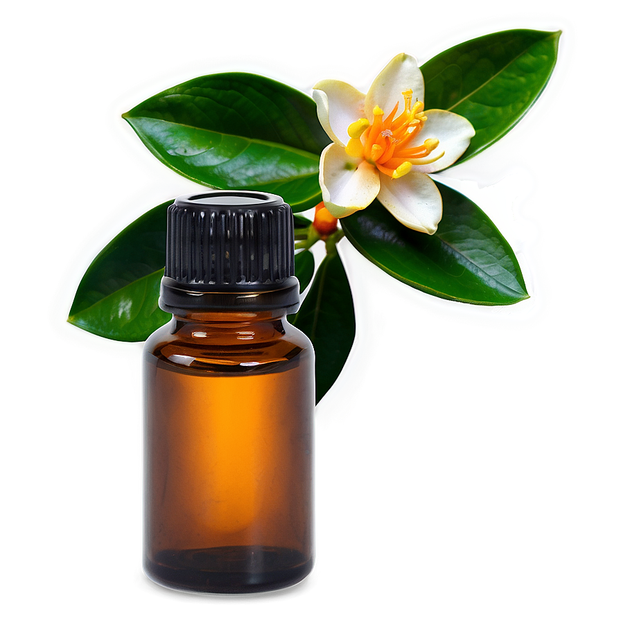 Neroli Essential Oil Png 76