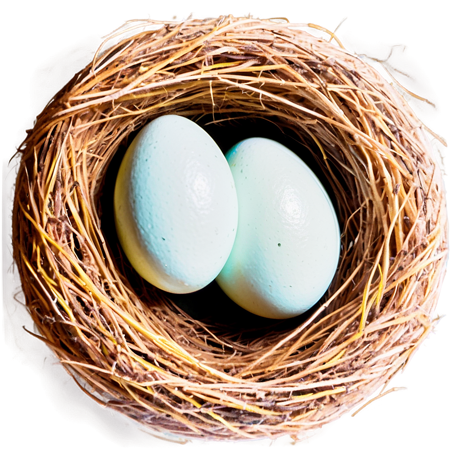 Nest Egg Png 84