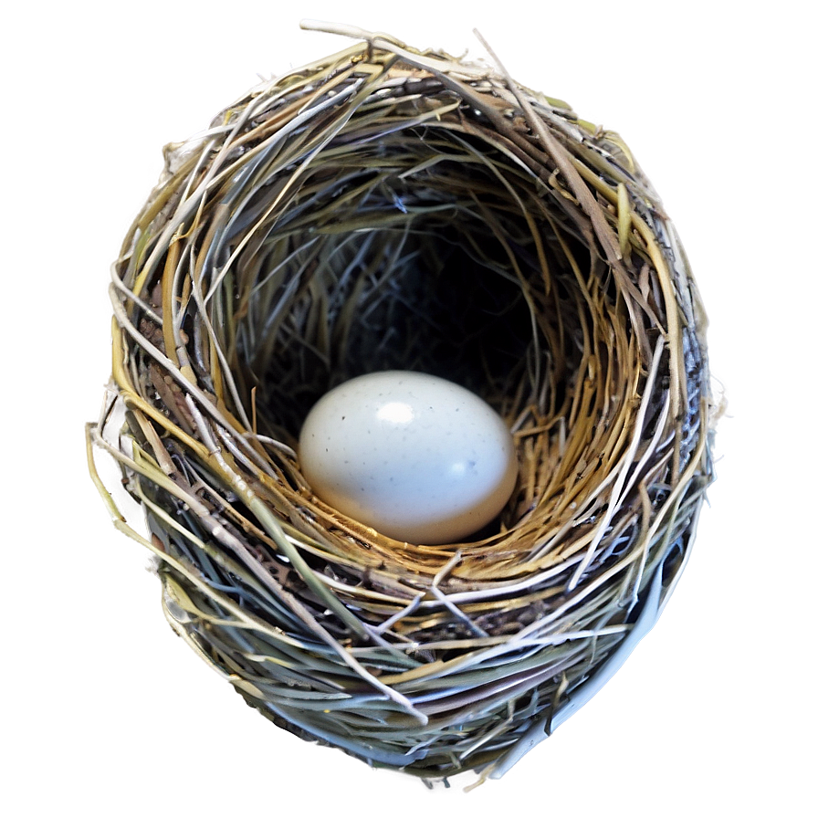 Nest Egg Png Wmp11