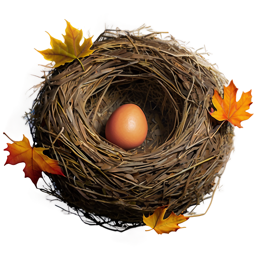 Nest In Autumn Png 05252024