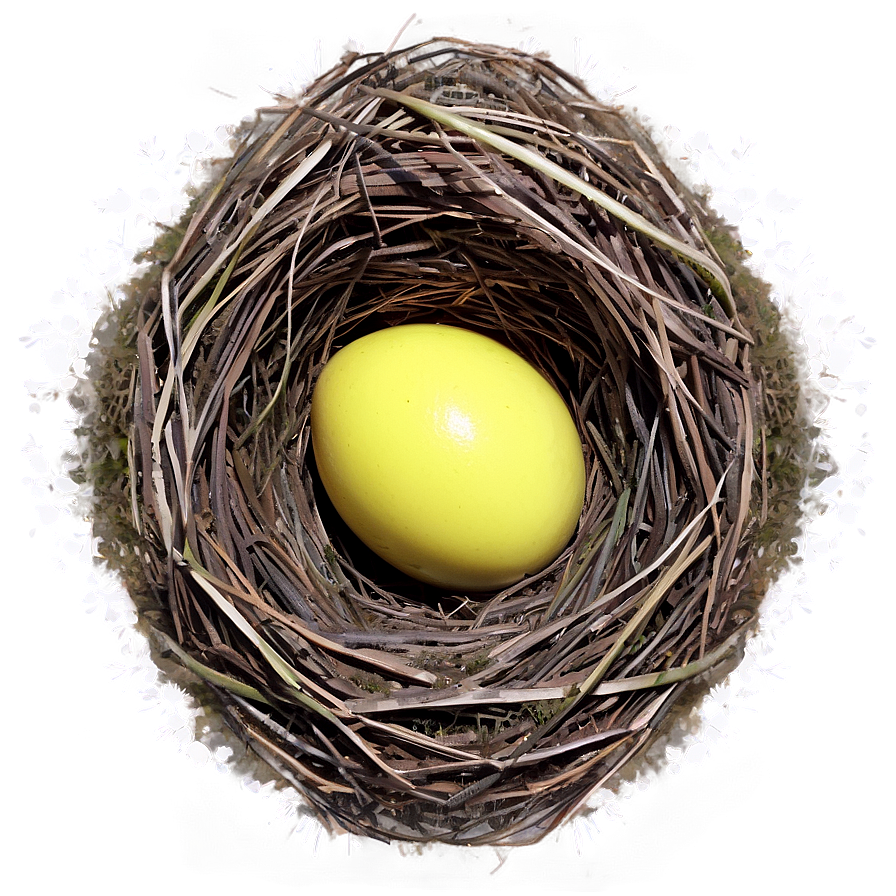 Nest In Meadow Png 05252024