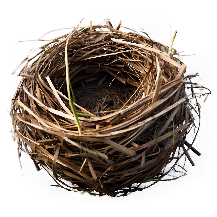 Nest In Meadow Png Byt