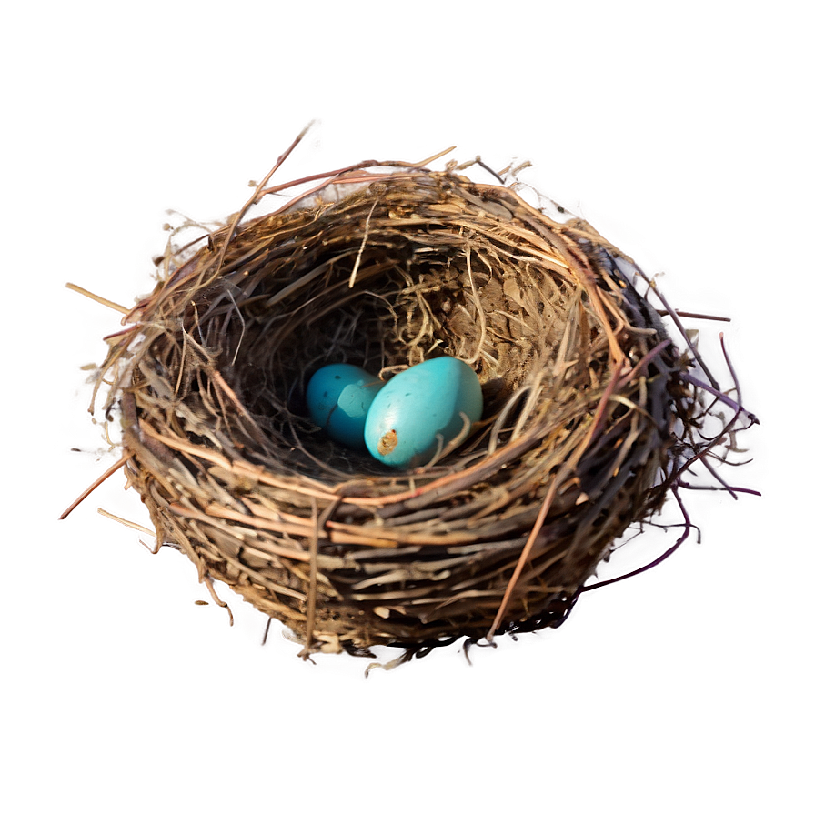 Nest In Sunset Png 54