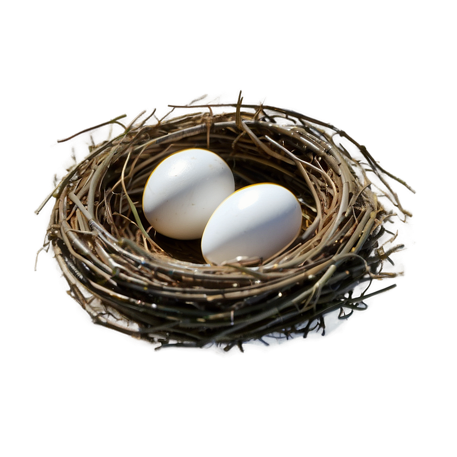 Nest Outline Png Dmo