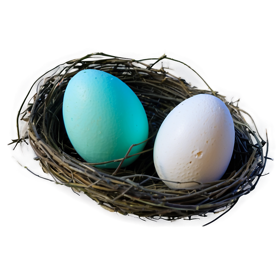 Nest With Eggs Png 29