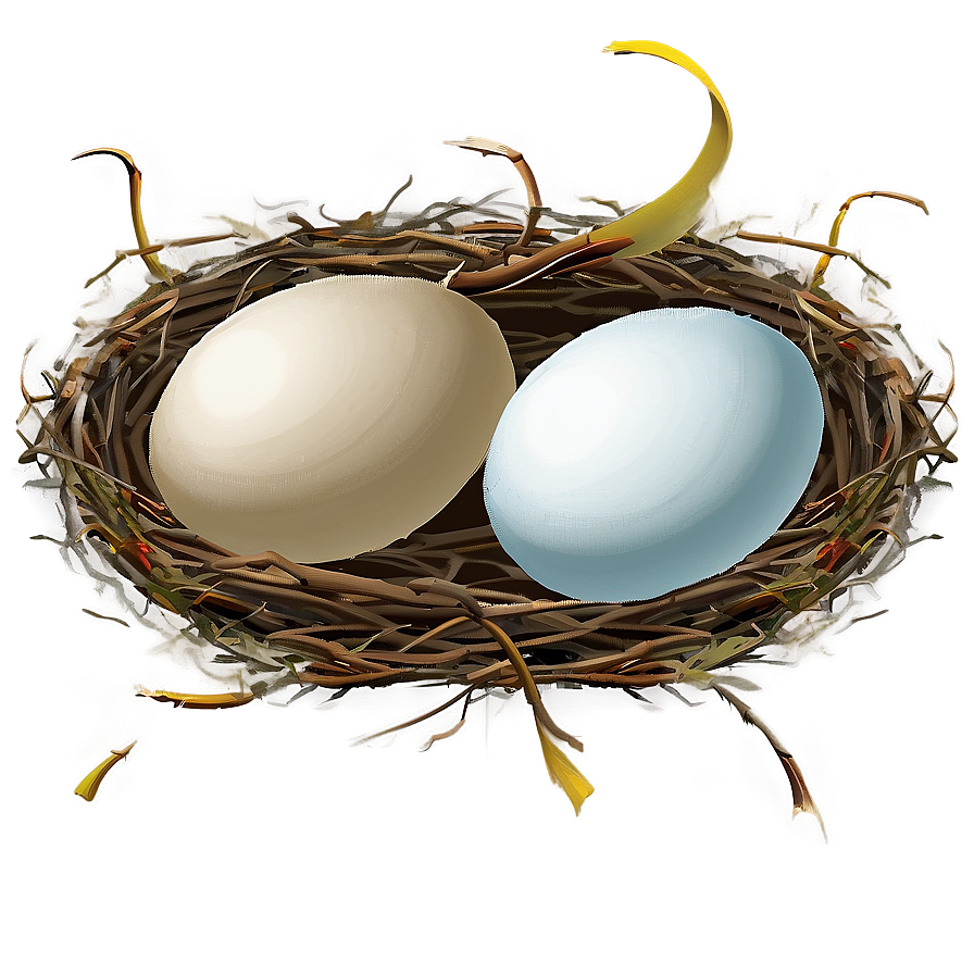 Nest With Eggs Png Efk