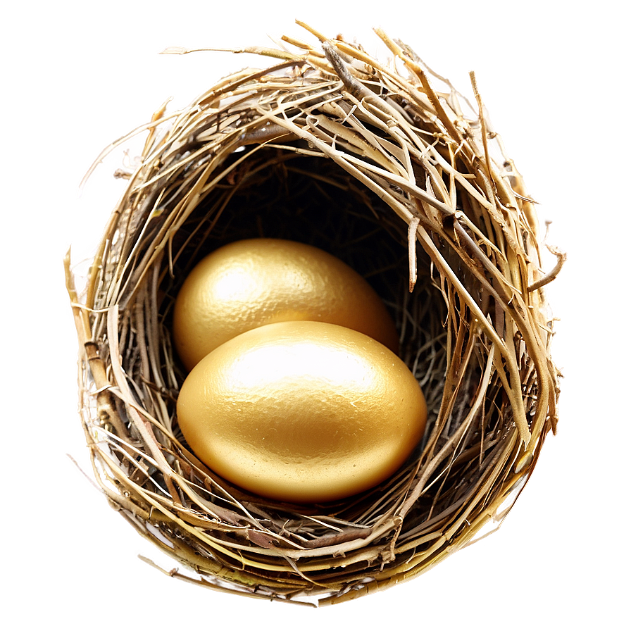 Nest With Golden Eggs Png Dhg69