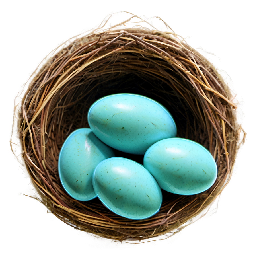 Nest With Robin Eggs Png Svb79