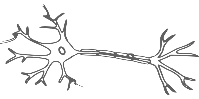 Neuron Silhouette Art