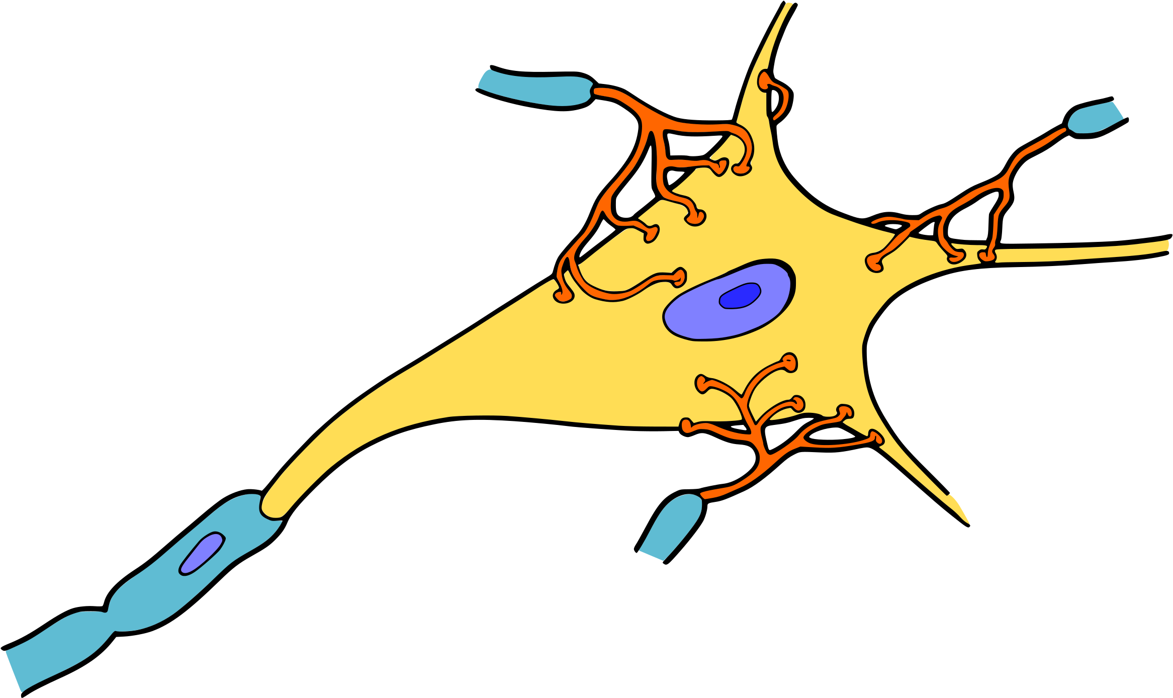 Biology, Brain, Cell, Medicine, Nerve, Neuron, Organism - Nerve Clipart, HD Png Download PNG with transparent background